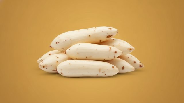 Mandioca, preço do dia