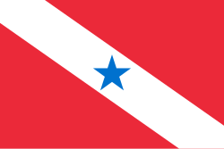 Bandeira de Pará