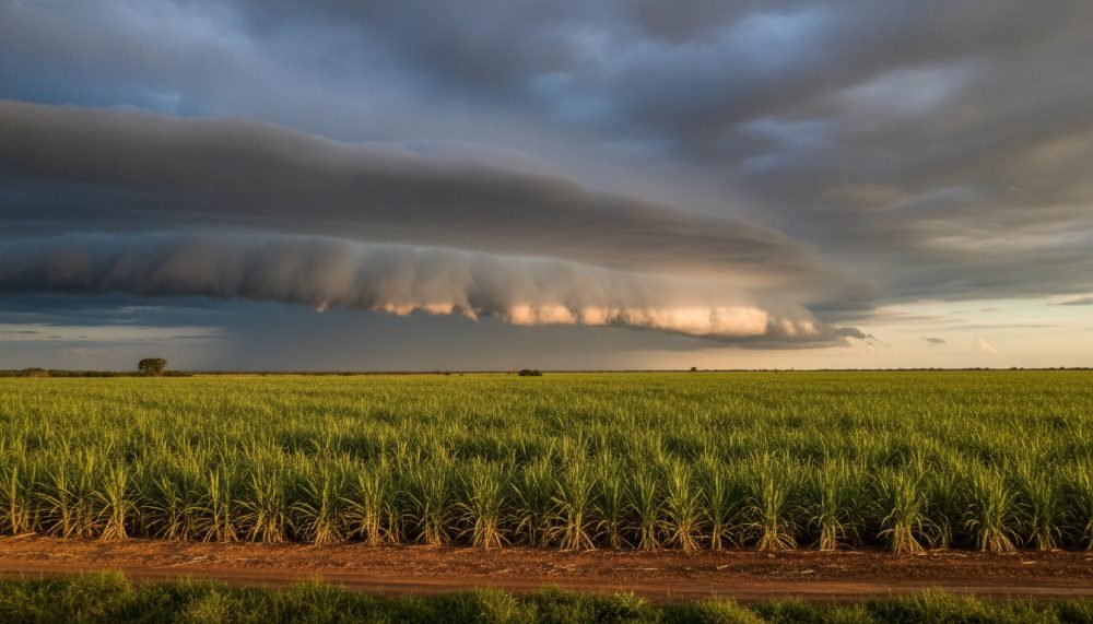El Niño e La Niña: o clima que mexe no seu bolso