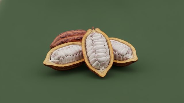 Cacau, preço do dia