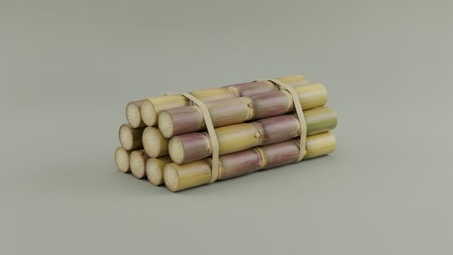 Cana-de-açúcar no Piauí